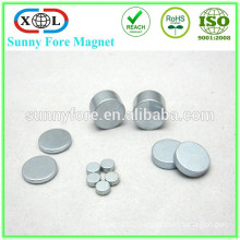 customized round size neodymium professional speaker magnet